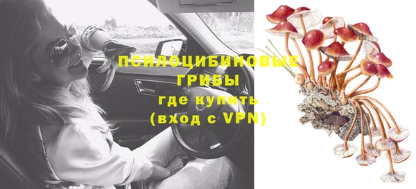 альфа пвп Саяногорск