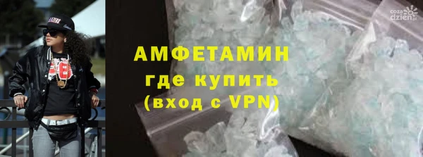 мет Алексин