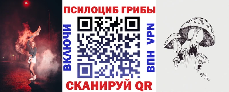 Галлюциногенные грибы Psilocybine cubensis  Избербаш 